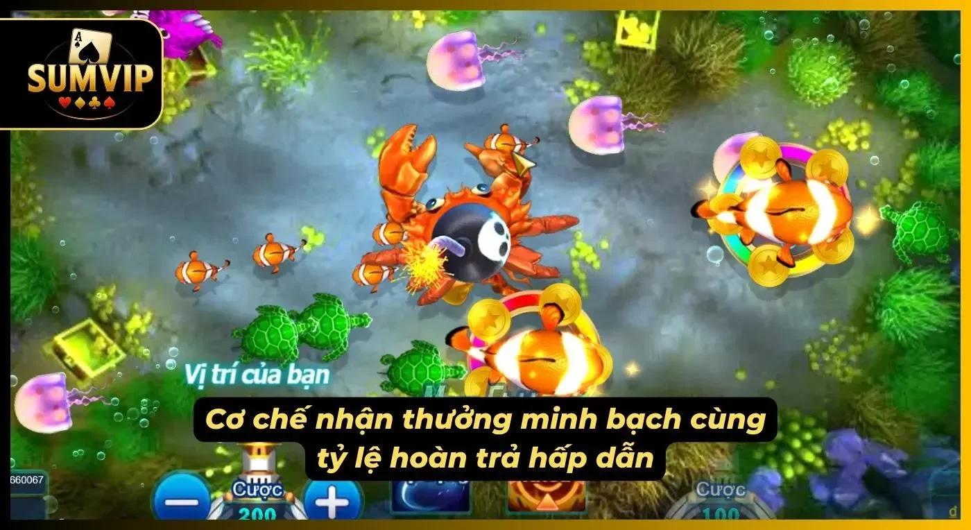 Nhận diện cơ hội và rủi ro với những mục tiêu săn bắt khác nhau