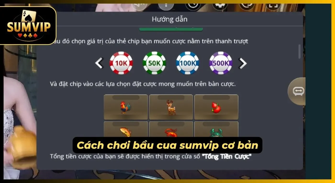 Quy luật cách chơi bầu cua cơ bản nhất