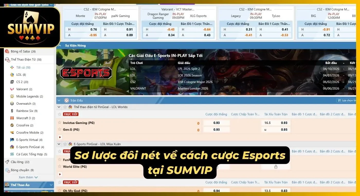 Lý do mà cá cược Esports luôn được ưa chuộng