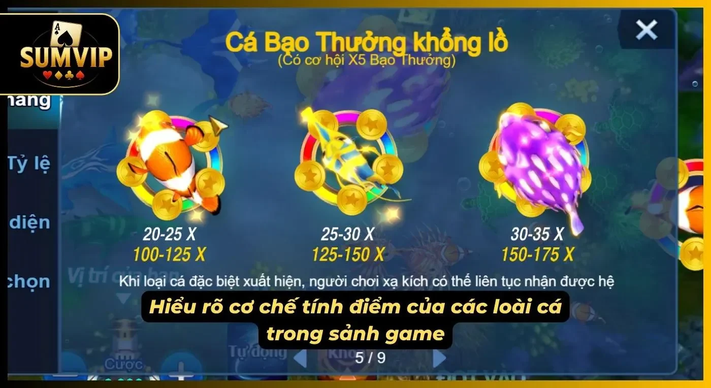 Anh em nên hiểu rõ cơ chế tính điểm của từng loài cá để có được chiến lược phù hợp