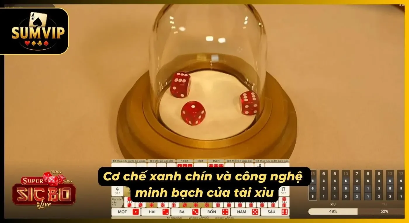 Người dùng có thể kiểm tra kết quả ngay sau khi phiên kết thúc