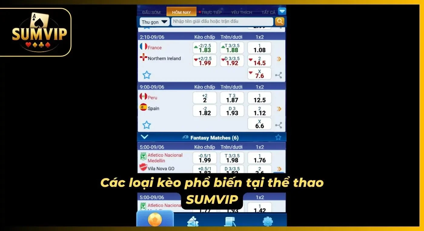 Các thị trường cược quen thuộc được sắp xếp để dễ theo dõi hơn