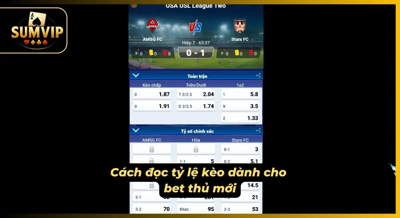 Các ký hiệu cơ bản được trình bày trực quan trên phiếu cược